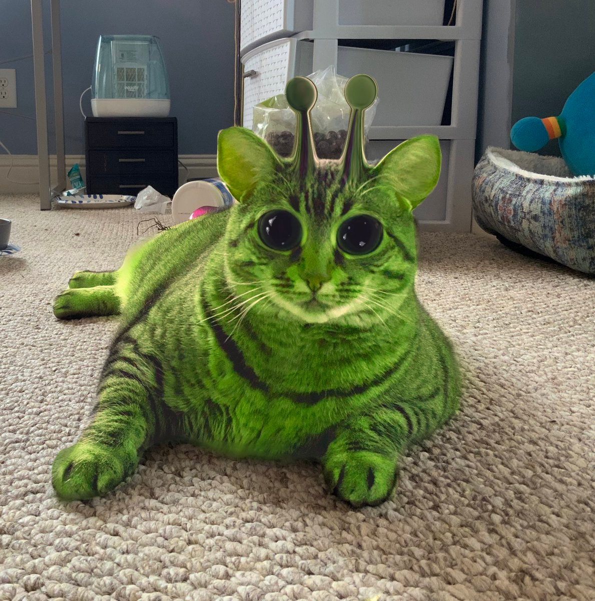 Alien Cat